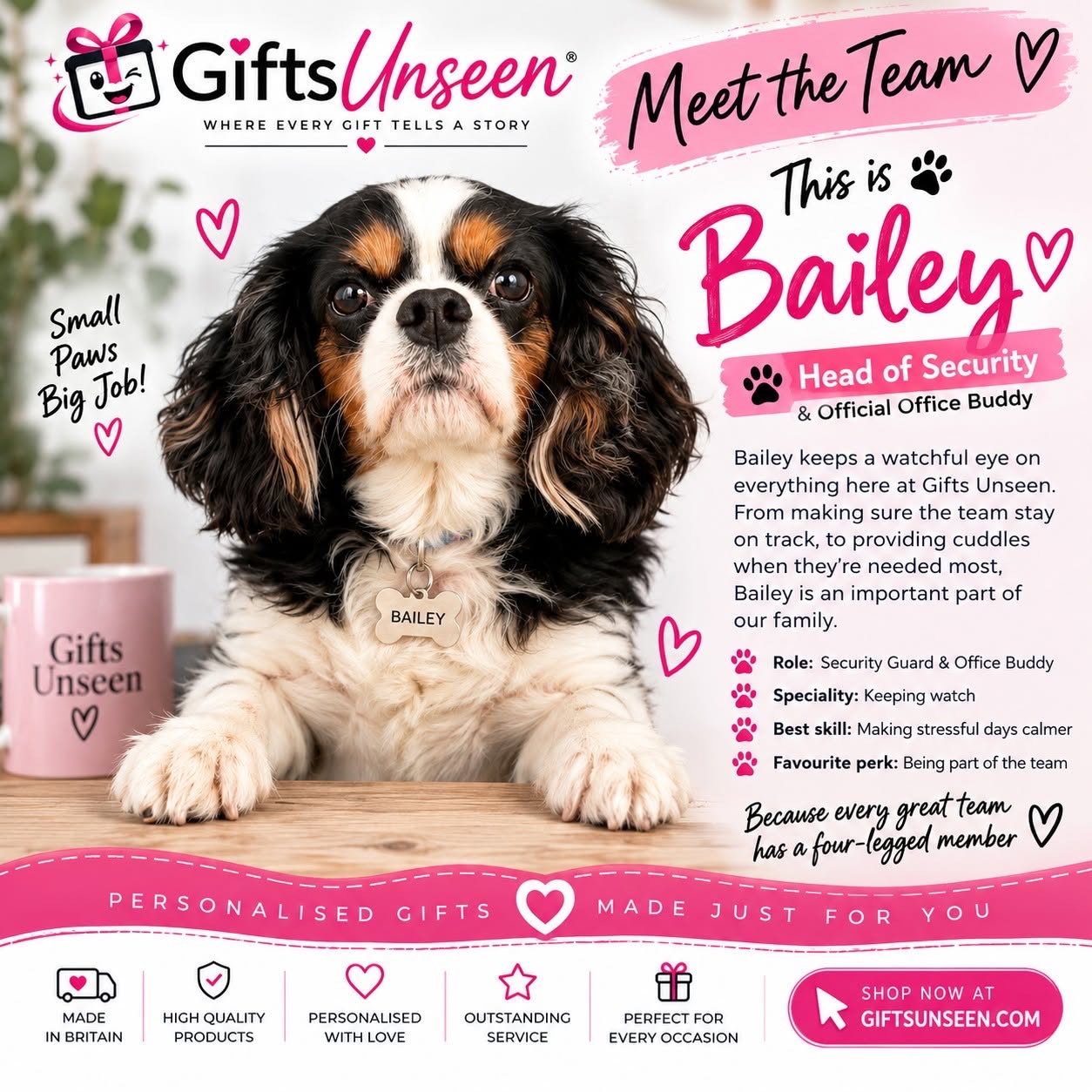 Bailey - Head of Security