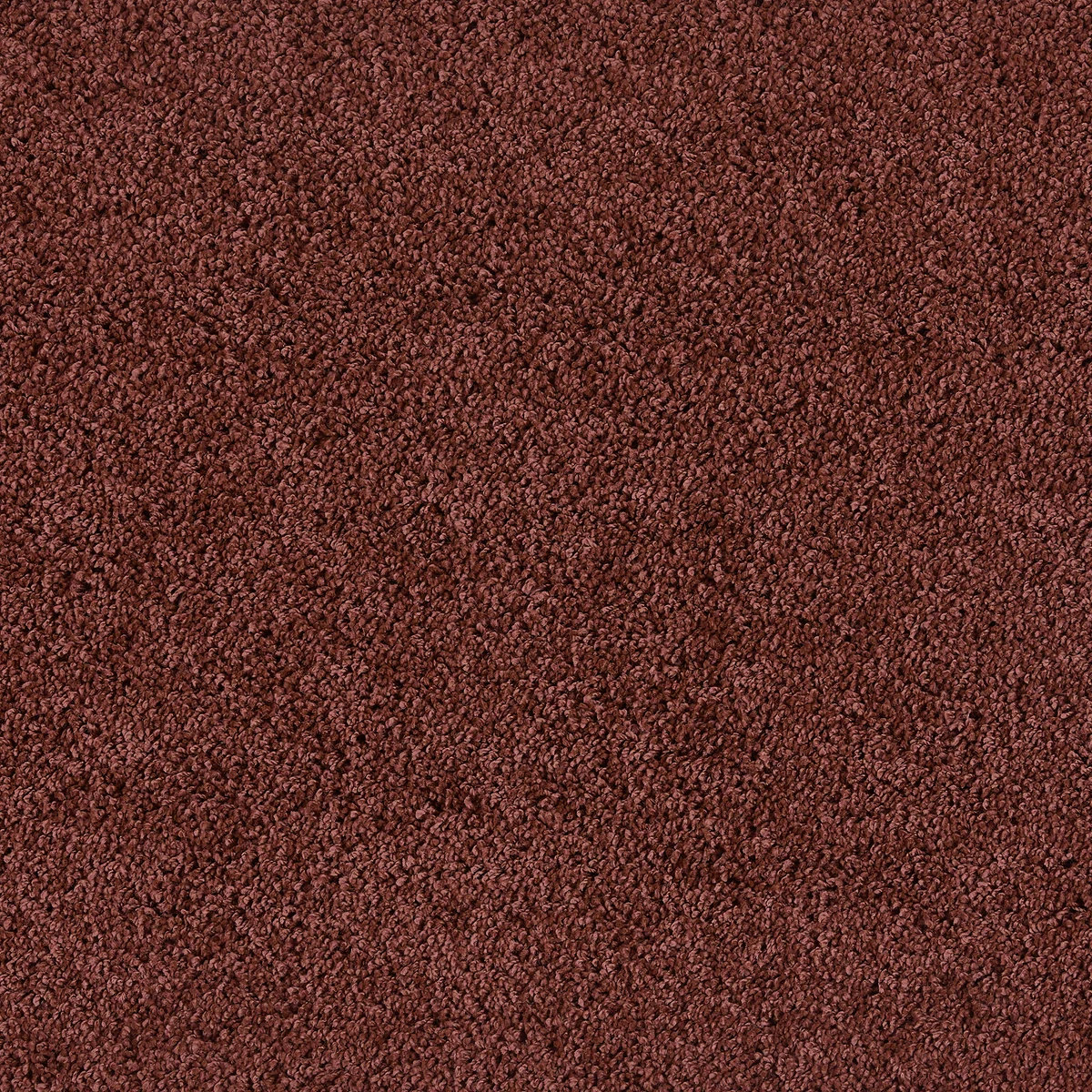 MadeNorth Shaggy Ox Red Rug 9 MadeNorth Shaggy Ox Red Rug - Image 9